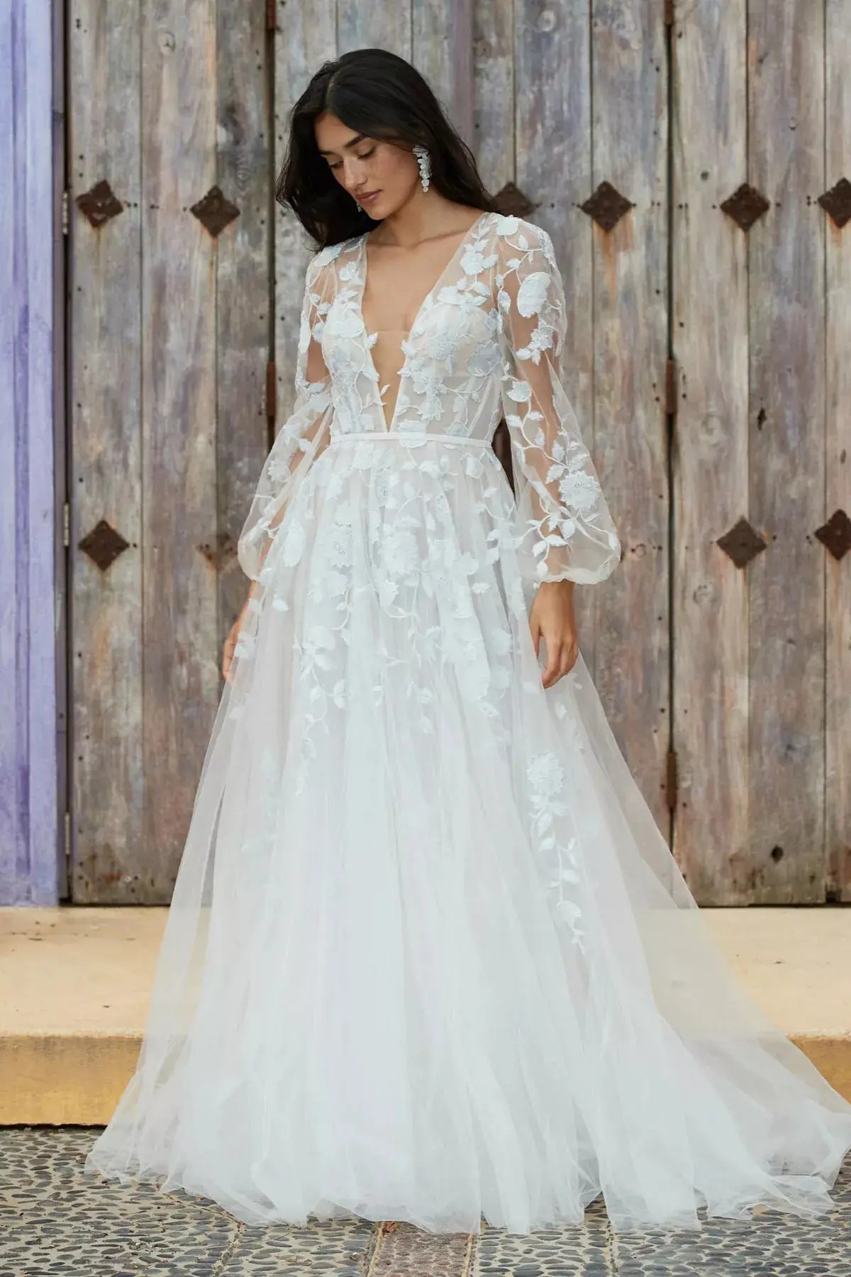 WTOO & Willowby Trunk Show Main Image