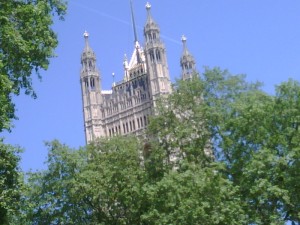 IMG01119-20110501-0922
