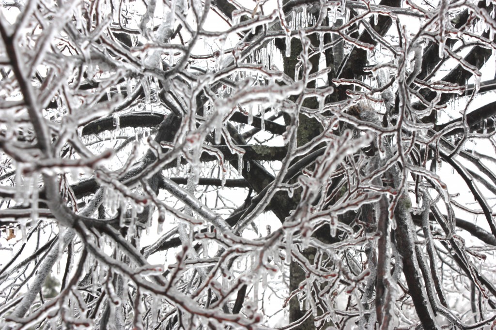 In Case of Inclement Weather. Desktop Image