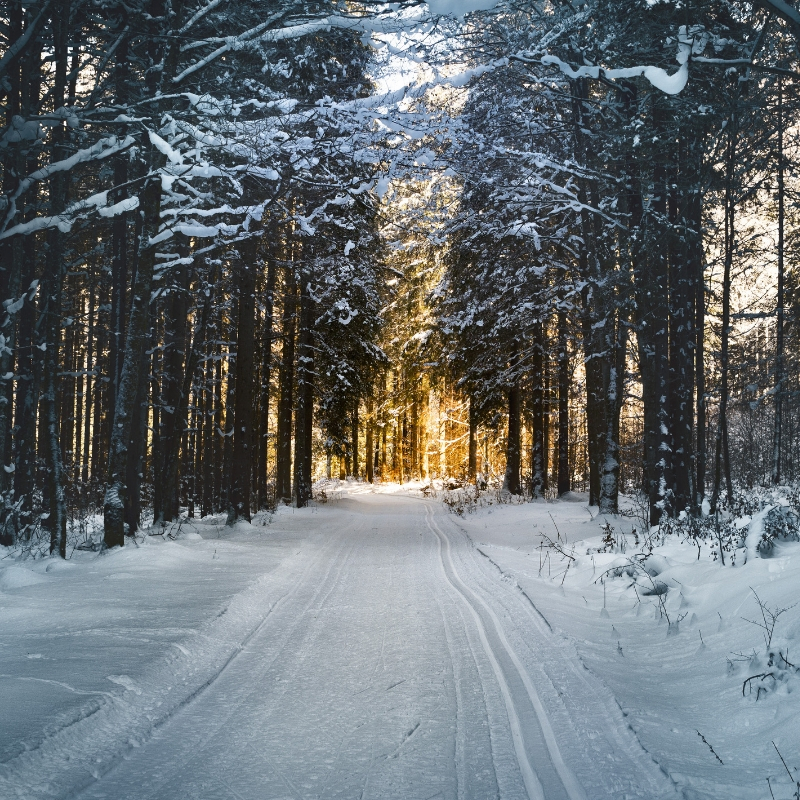 Three Ways to Make the Holidays Special Now that Youre Engaged Image