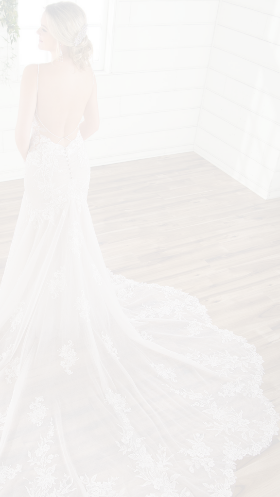 How to Shop the Newest Essense of Australia Dresses. Desktop Image